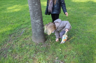 Chasse aux oeufs de Pâques 2015