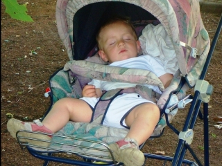 pique nique 2010