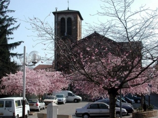 fleurs de la commune