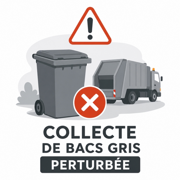 Collecte bacs gris perturbée