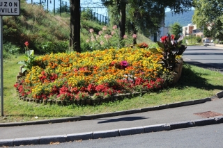 Les fleurs de la commune été 2016
