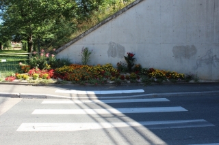 Les fleurs de la commune été 2016
