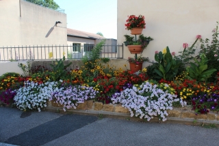Les fleurs de la commune été 2016