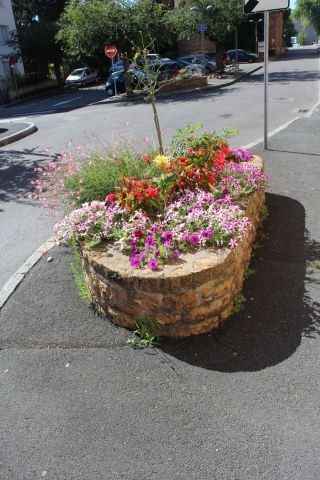 Les fleurs de la commune t 2016