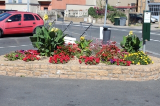Les fleurs de la commune été 2016