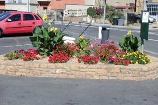 Les fleurs de la commune t 2016