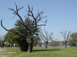 Espace détente en bords de Saône