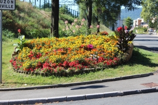 Les fleurs de la commune été 2016