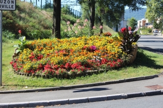 Les fleurs de la commune t 2016