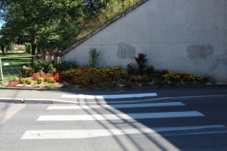 Les fleurs de la commune été 2016