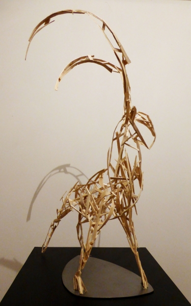 Lise Van Baaren : van-baaren-antilope