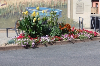 Les fleurs de la commune été 2016