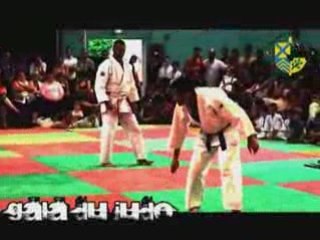 Gala de judo 2008