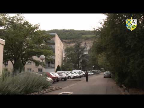 ApÃ©ritif du quartier sud 2011