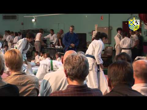 Gala de judo 2011