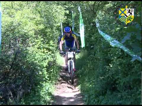 TRANSMONTDO VTT 2010